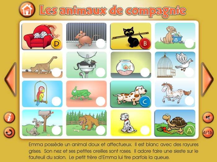 Les animaux de compagnie