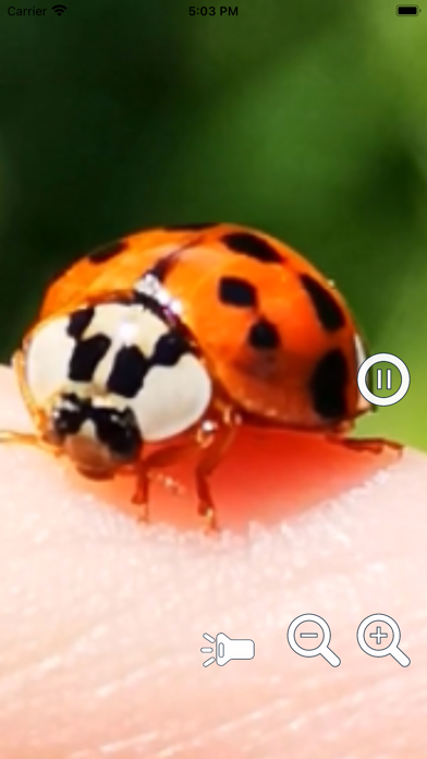 Magnifying Glass Pro2 - Loupe Screenshot