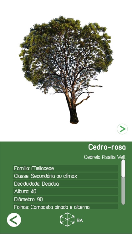 MataAtlanticaVirtual