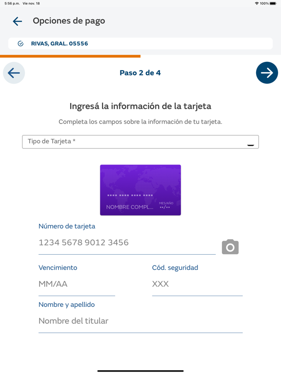 Naturgy Arg Oficina Virtual iPad screenshot 4