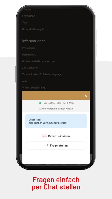 Linden-Apotheke Schöllkrippen Screenshot