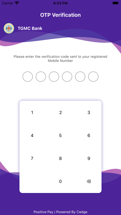 TGMCB Positive Pay Screenshot