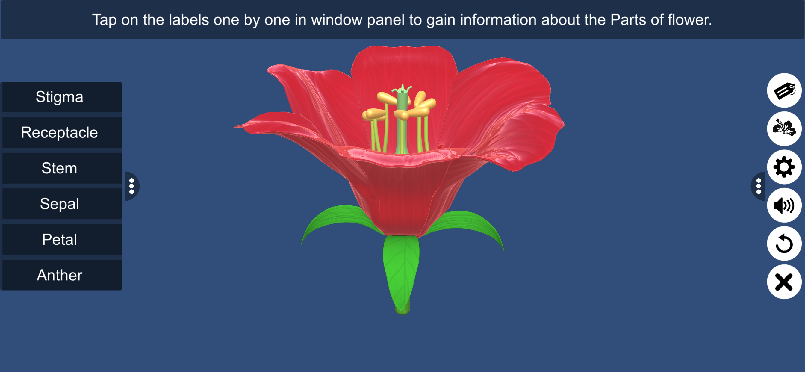 Parts of Flower