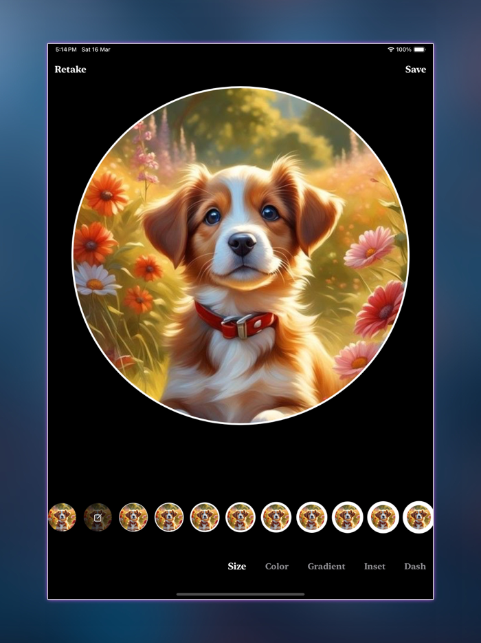 Profile Border Maker   Editor