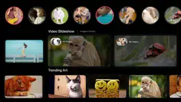 Game screenshot Photo & Video Gallery for TV mod apk