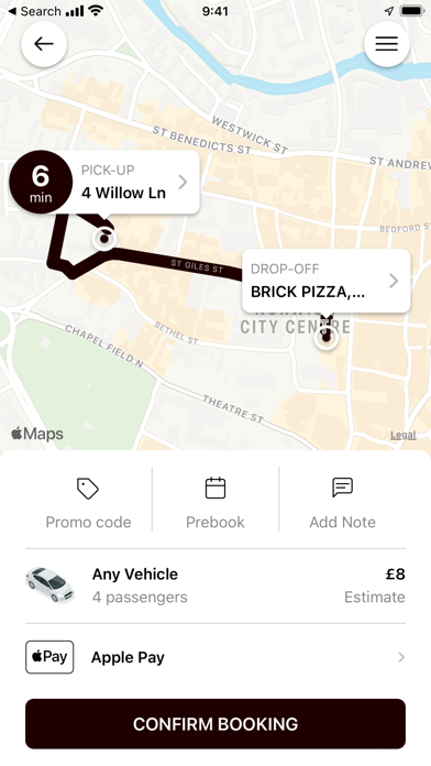 Black Swan Taxi Screenshot