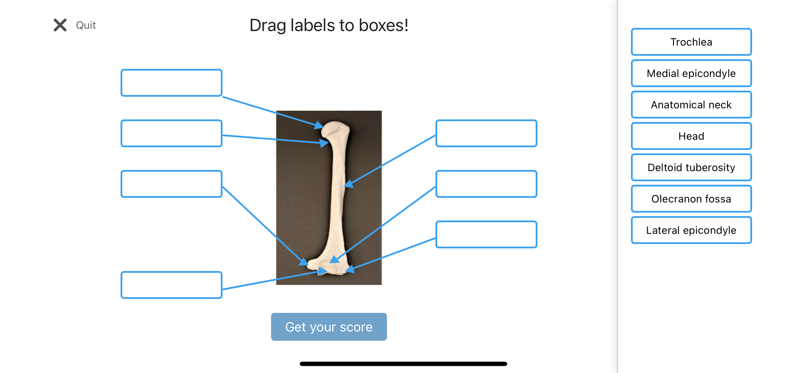 Anatomy Karma skeletal system screenshot 5