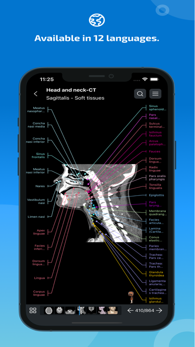 IMAIOS e-Anatomy Screenshot
