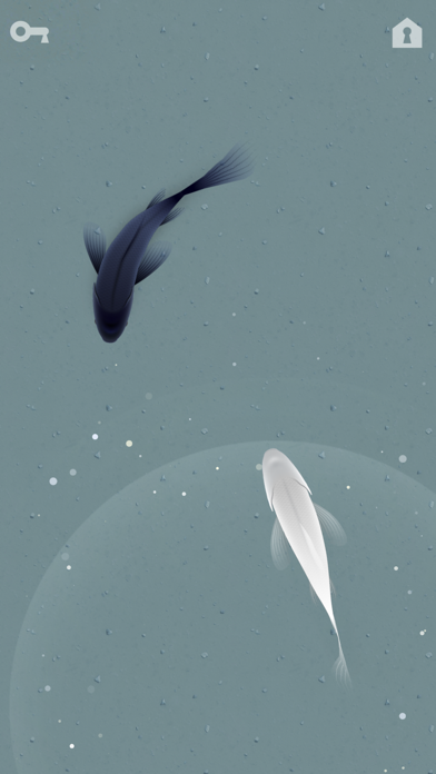CAT ALONE 2 - Cat Toy For IPhone - Free App Download