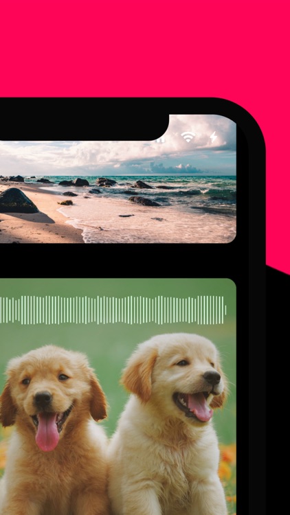 SoundShot - Pics with Sound! screenshot-0