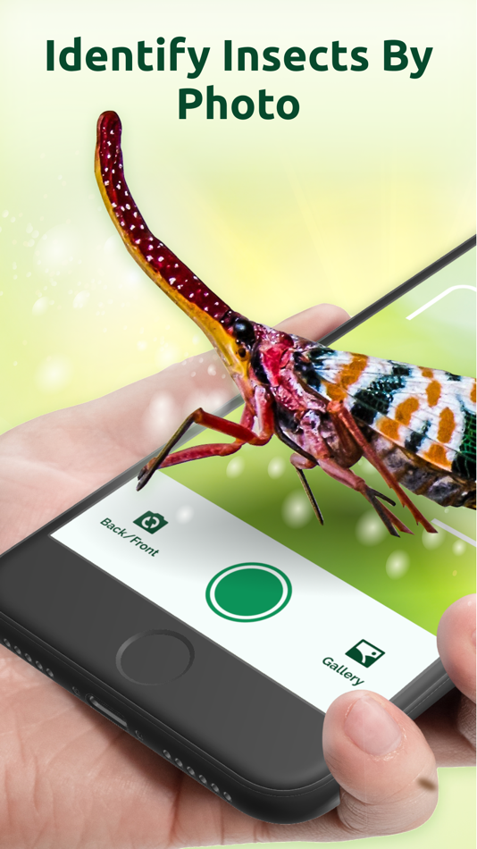 #1. Bug Identifier. Picture Insect (iOS) Podle: Apps Labs