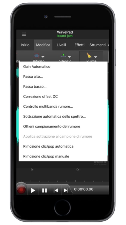 WavePad Professionale