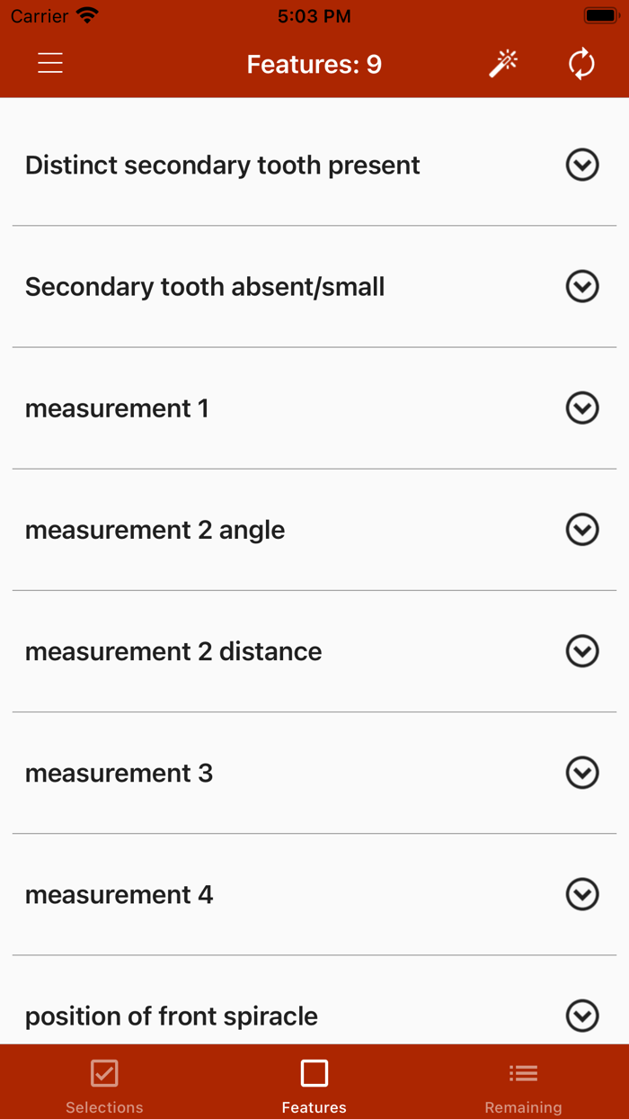 Key important fruit fly larvae