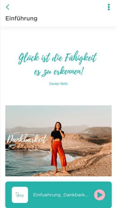 DailyShine Screenshot