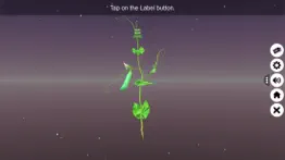 learn parts of a plant iphone screenshot 2