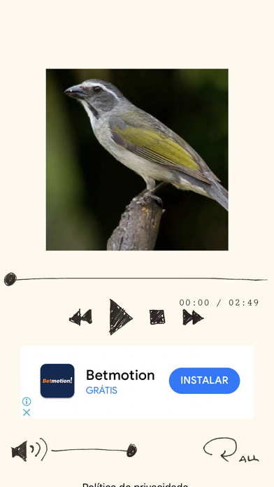 Cantos dos Pássaros Br Screenshot