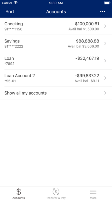Family First CU Michigan Screenshot