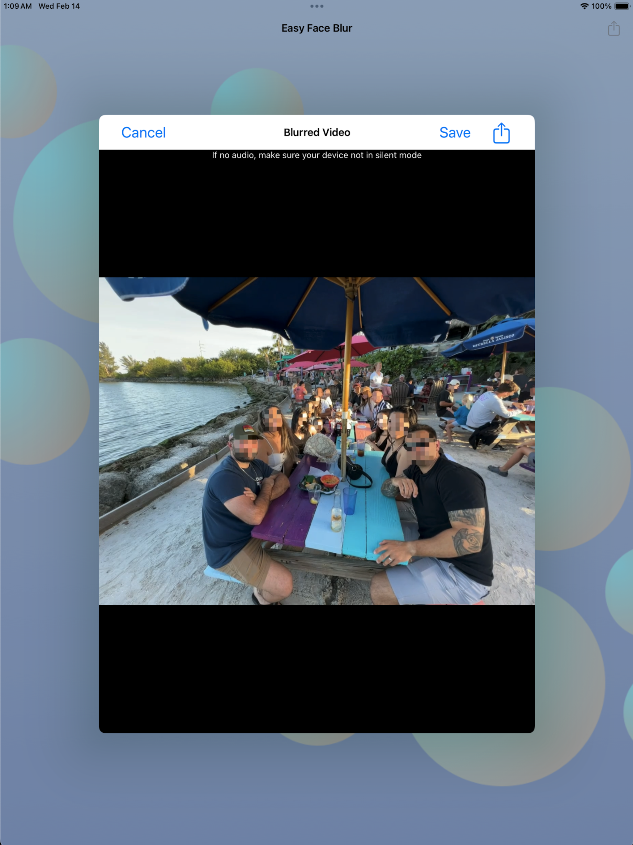 Easy Face Blur