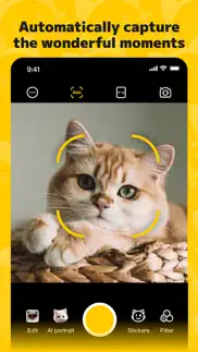 petpix: pet photo magic problems & solutions and troubleshooting guide - 4