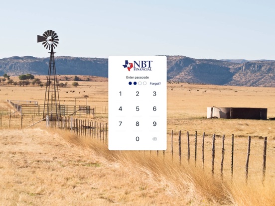 MyNBT iPad screenshot 2 - Finance app