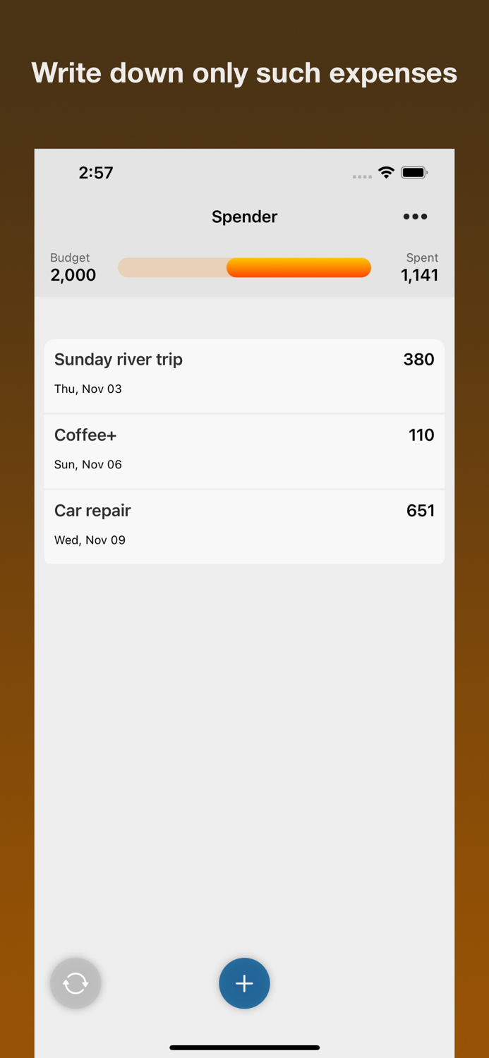 Spender - costs accounting