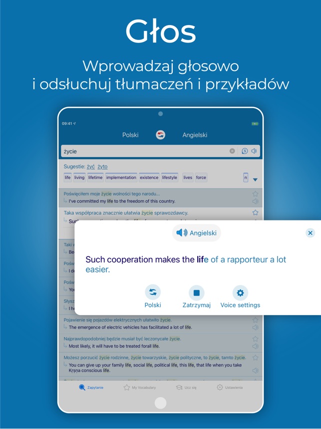 Aplikacja Reverso słownik i tłumacz w App Store