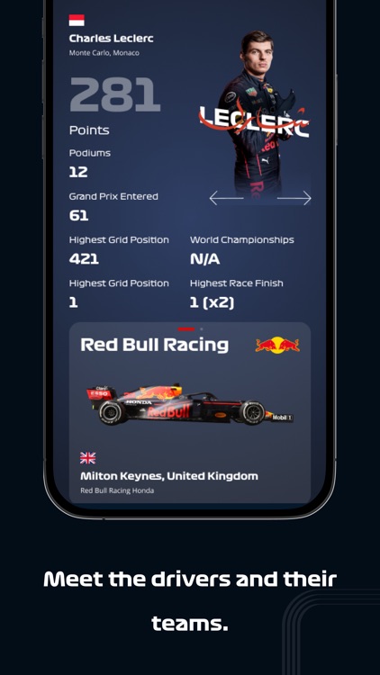 F1 SAGP screenshot-3