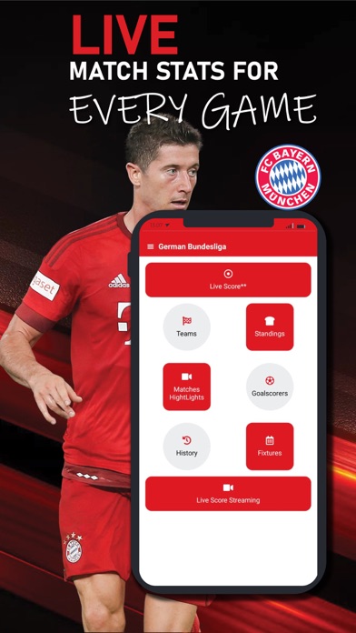 Live Bundesliga Football Screenshot