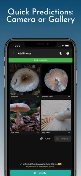 Game screenshot ShroomID - Identify Mushrooms hack