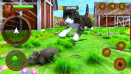 Game screenshot Симулятор маленького котенка apk