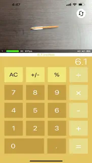gold - calculator iphone screenshot 4