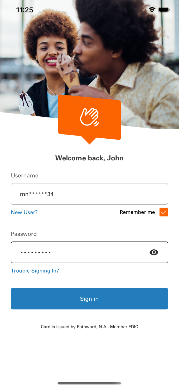 Money Network Mobile App