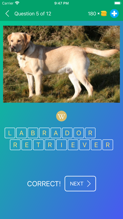 Dog Breeds Quiz: Guess the Pet Screenshot