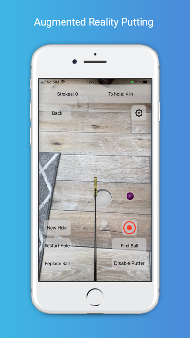AR Putting Screenshot