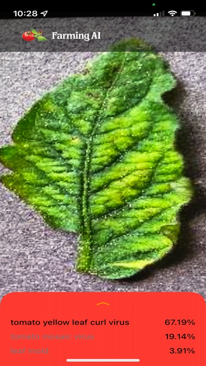 Tomato Disease Diagnosis screenshot-7