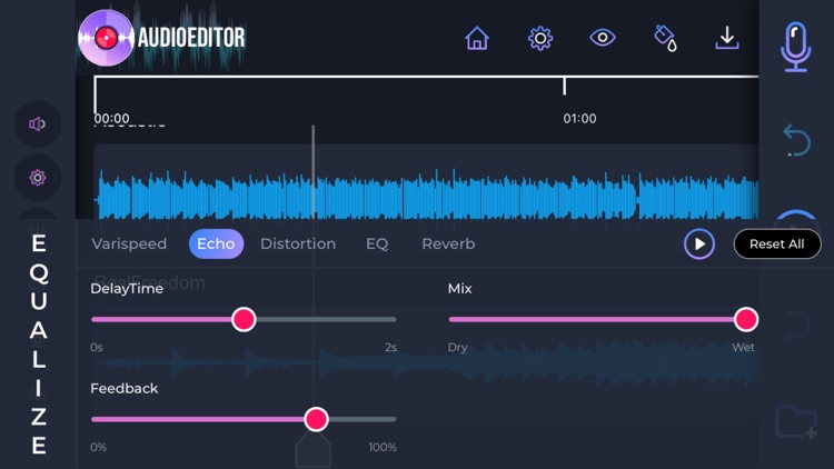 Audio Editor: Recording Studio