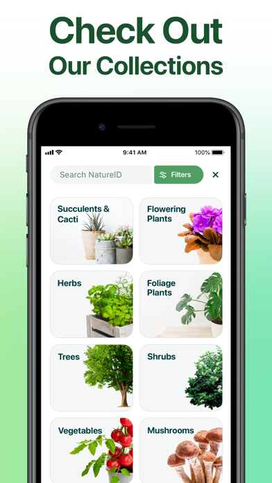 NatureID: Plant Identification Screenshot