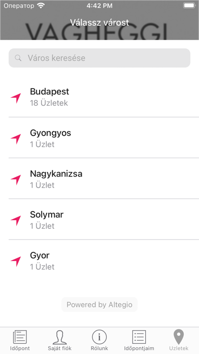 VAGHEGGI SZÉPSÉGSZALONOK Screenshot