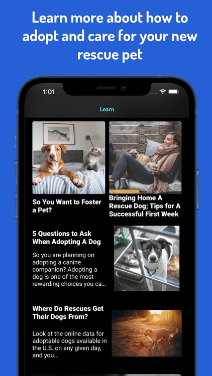 WeRescue – Adopt a Pet screenshot-4