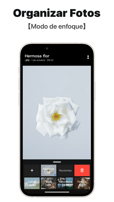 Picbook - Galería