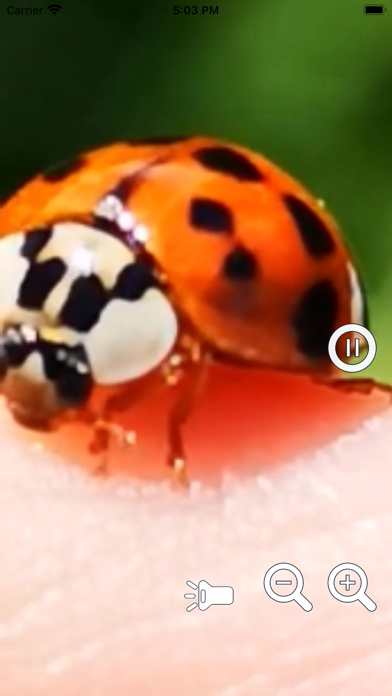 Magnifying Glass Pro2 - Loupe Screenshot