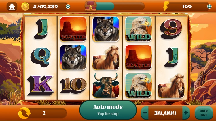 Wild Fortune - Tiger Slots