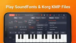 Game screenshot SoundFont Pro: Sample Player mod apk