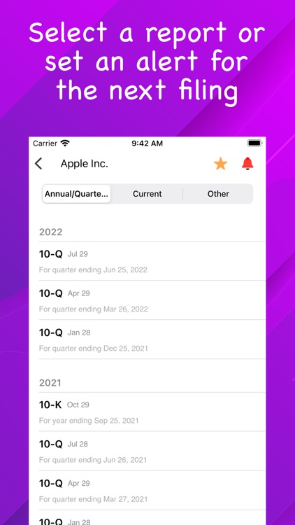 ReportR: Financial Reports