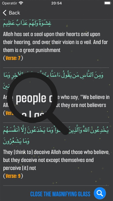 The Quran - Surahs and Verses Screenshot