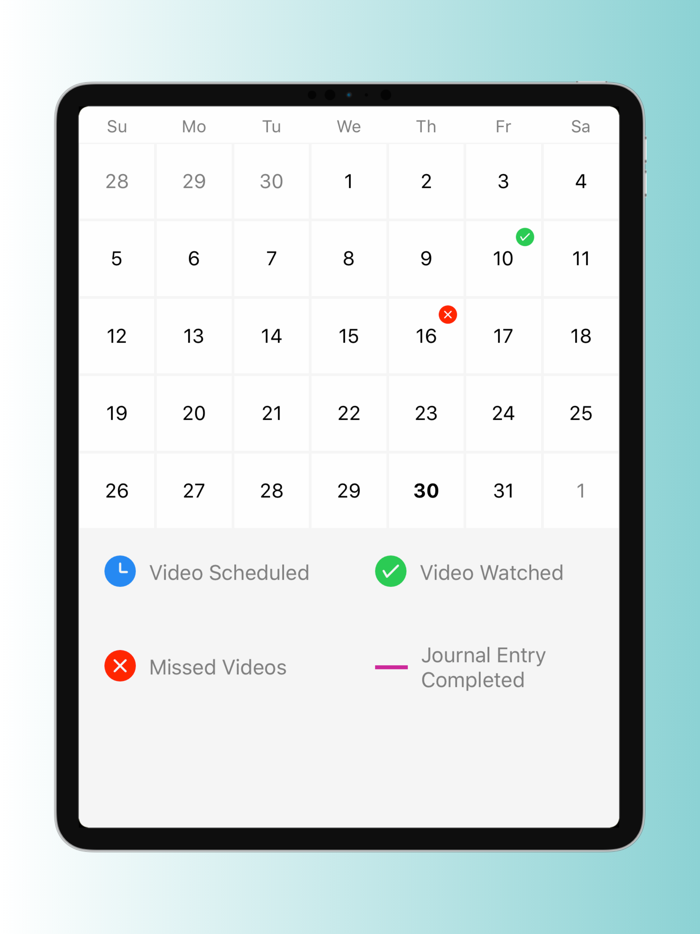 The Fitness Collective