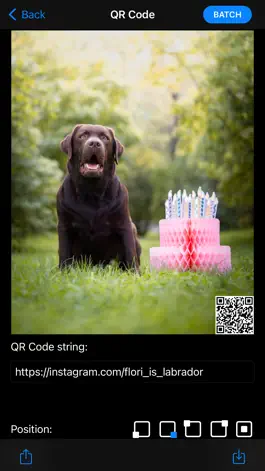 Game screenshot QR Code Watermark Creator ® apk
