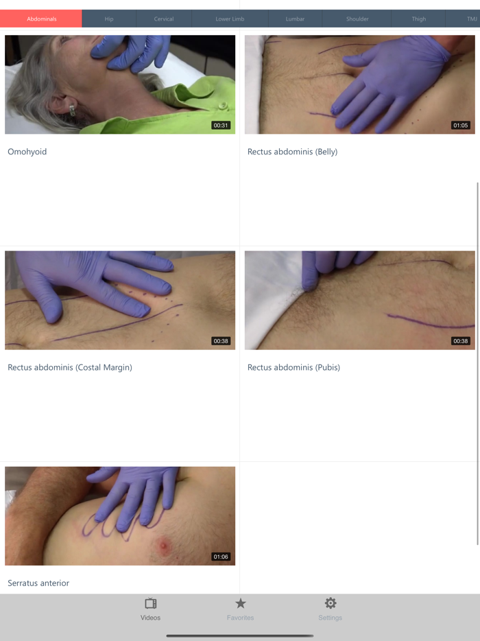 Dry Needling Clinic Companion