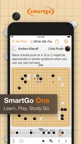 Game screenshot SmartGo One mod apk