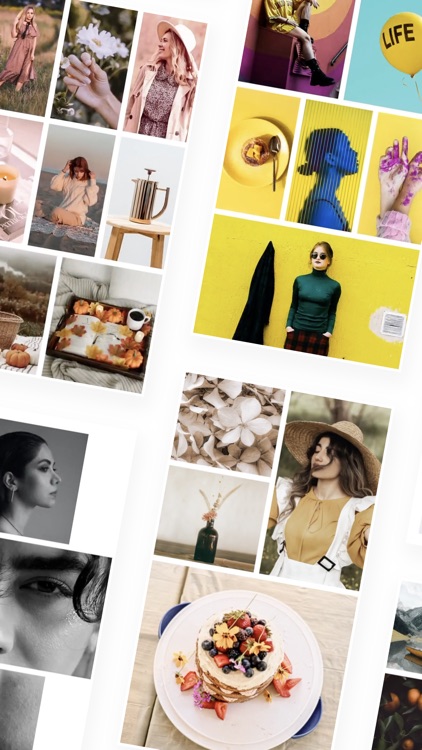 Layout for Instagram